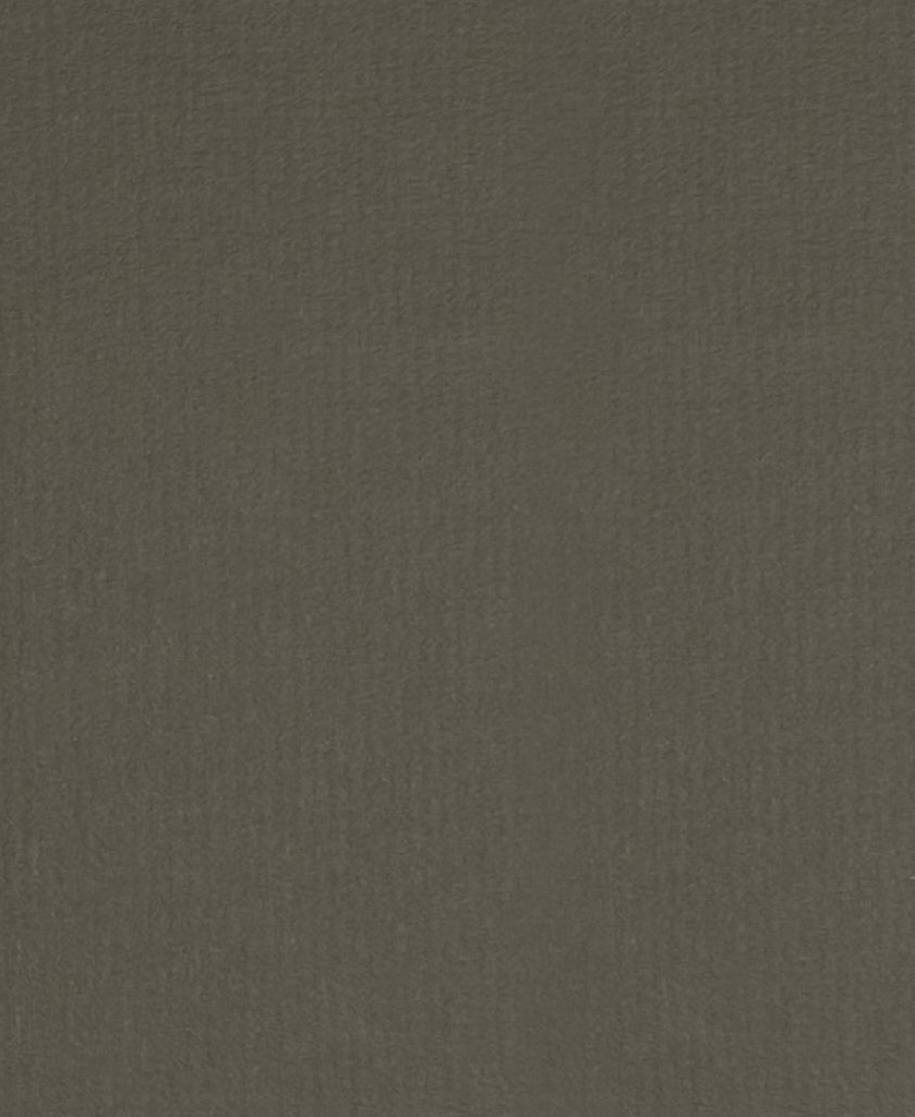 Q1031 Картон д/паспарту НЕОПРОФИ, 81x102см, 1.3мм (Оливковый) Q1031 Картон д/паспарту НЕОПРОФИ, 81x102см, 1.3мм (Оливковый)