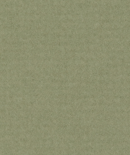 H118_Картон д/паспарту НЕОСТАРТ, 81x102см, 1.3мм, Лишайник