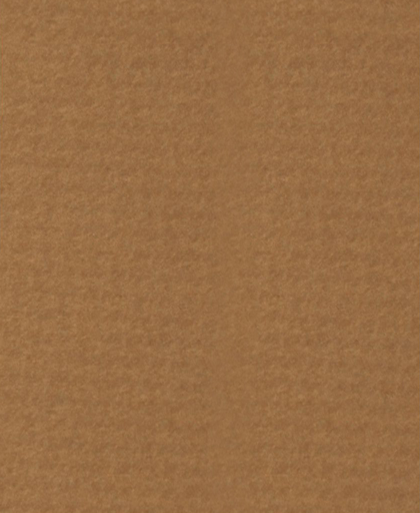Q1110 Картон д/паспарту НЕОПРОФИ, 81x102см, 1.3мм (Дуб) Q1110 Картон д/паспарту НЕОПРОФИ, 81x102см, 1.3мм (Дуб)