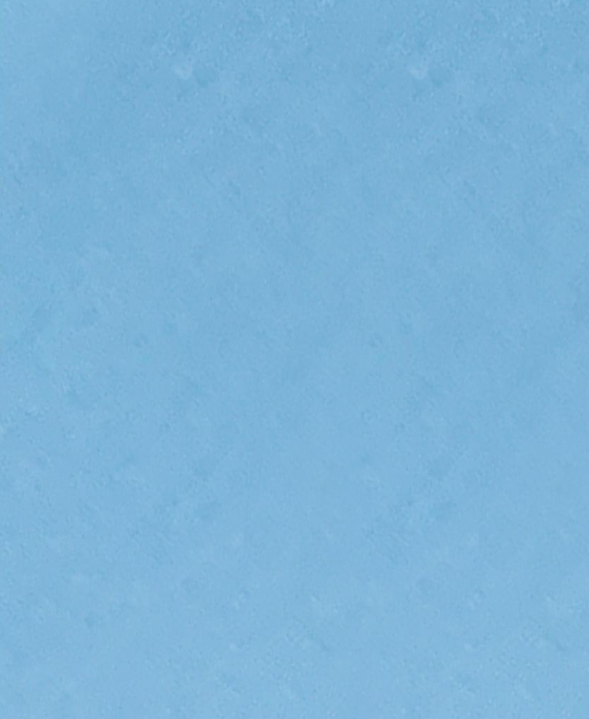 H1070 Картон д/паспарту НЕОСТАРТ, 81x102см, 1.3мм (Василек) H1070 Картон д/паспарту НЕОСТАРТ, 81x102см, 1.3мм (Василек)