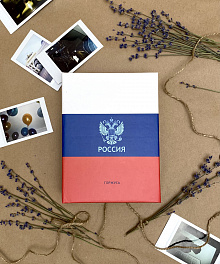 Фотоальбом на 100 фото 10х15 см с кармашками, "Russian tricolor" Триколор