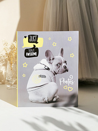 Фотоальбом  200 фото 10х15, пластик листы "fluffy pets" Гррр FA 200.003-4